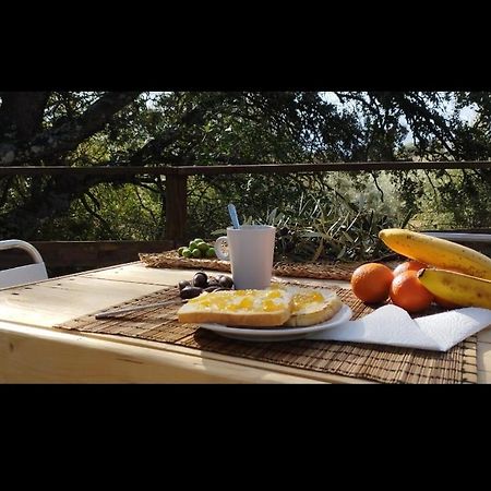 Villanueva del Rosario Cabana Del Arbol Lavagarural מראה חיצוני תמונה