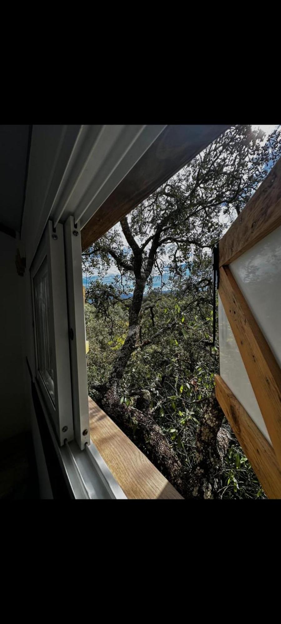 Villanueva del Rosario Cabana Del Arbol Lavagarural מראה חיצוני תמונה