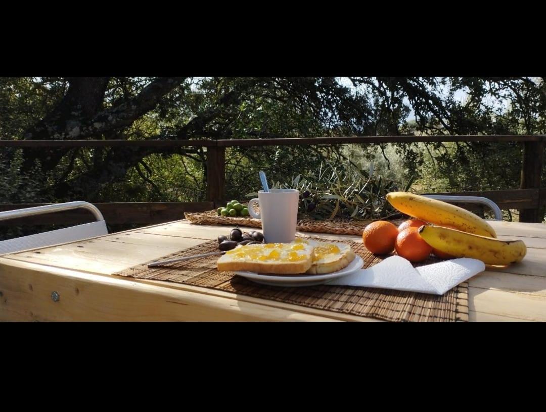Villanueva del Rosario Cabana Del Arbol Lavagarural מראה חיצוני תמונה