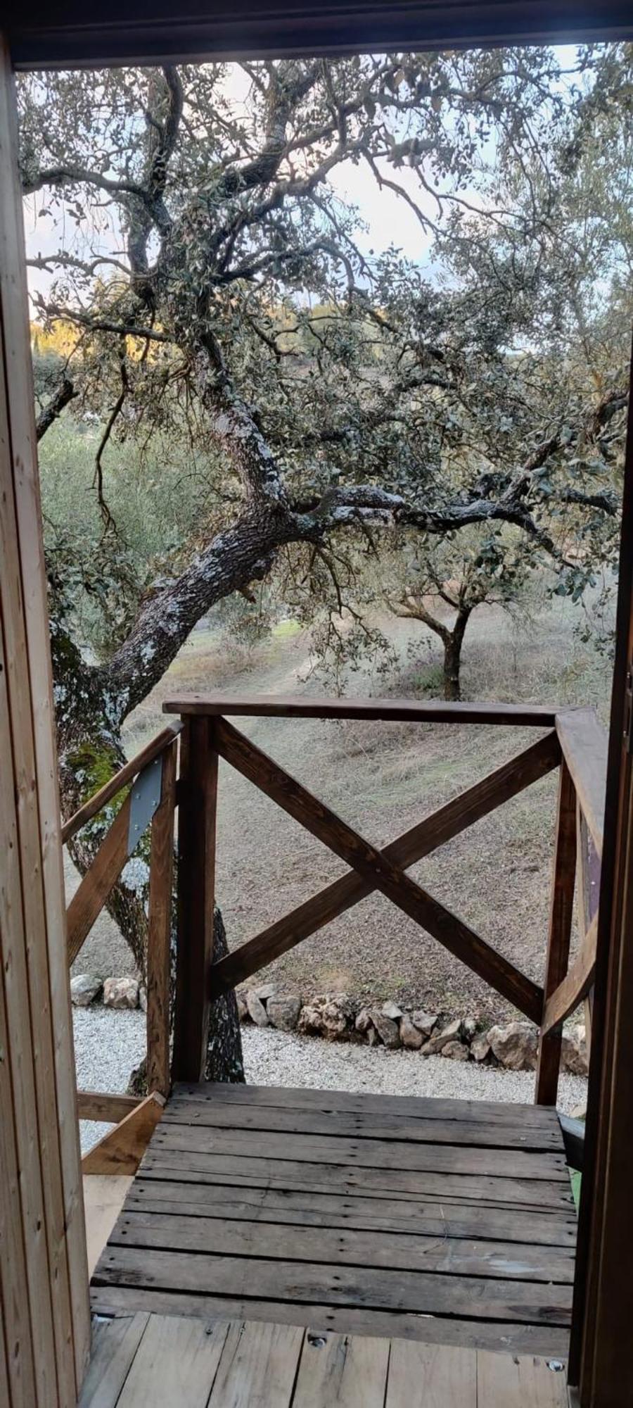 Villanueva del Rosario Cabana Del Arbol Lavagarural מראה חיצוני תמונה