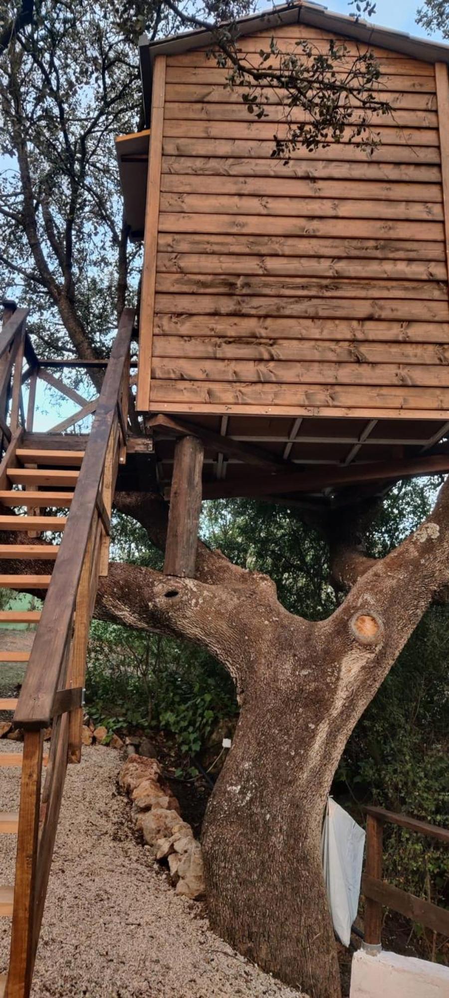 Villanueva del Rosario Cabana Del Arbol Lavagarural מראה חיצוני תמונה